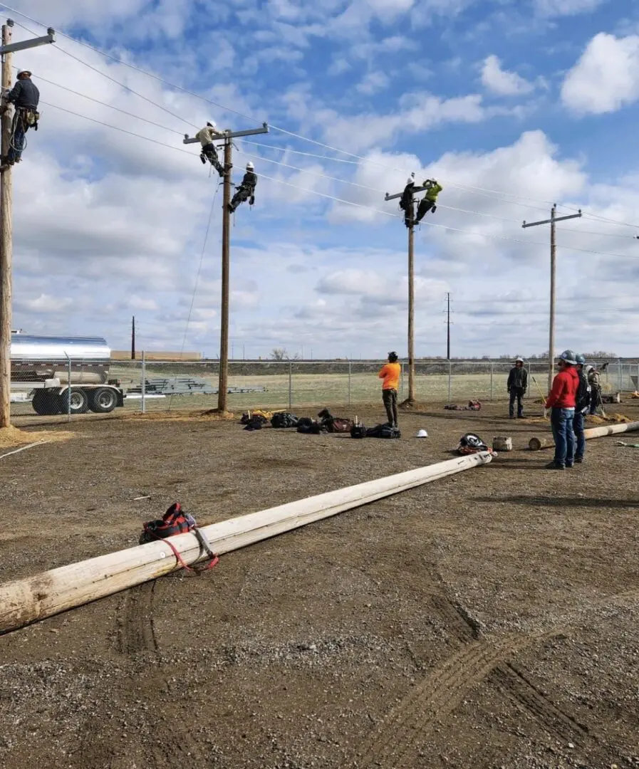 A group of people working on different poles of power line